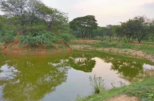 Hennur Lake